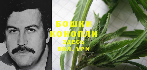 дурь Алексеевка