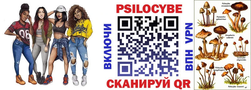 Псилоцибиновые грибы мухоморы  где найти наркотики  Вологда 