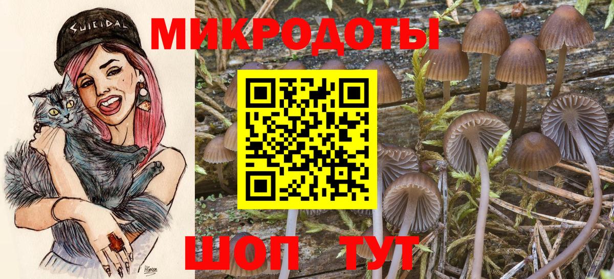 Вологда  Псилоцибиновые грибы ЛСД  Вход с VPN 